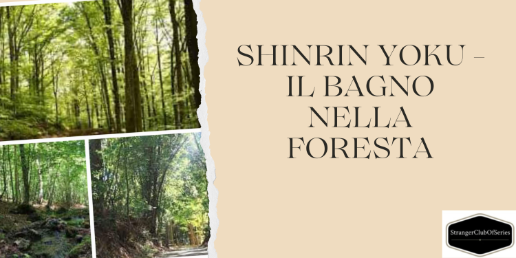 Shinrin yoku – Il bagno nella foresta