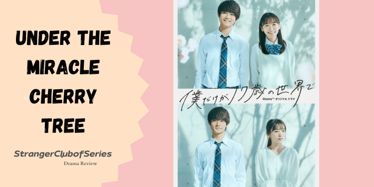 Under the Miracle Cherry&nbsp;Tree